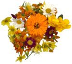 marigold flower mix